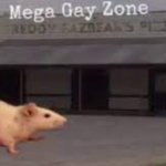 Mega gay zone template