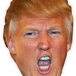 Trump face