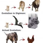 Actual evolution
