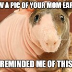 Your mom | I SAW A PIC OF YOUR MOM EARLIER; REMINDED ME OF THIS | image tagged in your mom | made w/ Imgflip meme maker