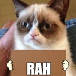 dAy tHirTeEn | RAH | image tagged in grumpy cat cardboard sign | made w/ Imgflip meme maker