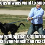 Dog pulling leash | Dogs always want to smell; Everything that's 3" further than your leash can reach | image tagged in dog pulling leash | made w/ Imgflip meme maker