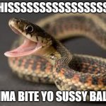 sussy ball | HISSSSSSSSSSSSSSSS; IMMA BITE YO SUSSY BALLS | image tagged in warning snake | made w/ Imgflip meme maker