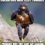 Wondering Wandering Falcon | COCKATOOS HAVE CLEFT TONGUES; PROBABLY WHY THEY CANT SAY LASAGNA | image tagged in wandering falcon,lasagna | made w/ Imgflip meme maker