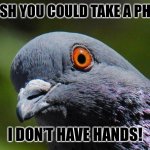 Pigeon | I WISH YOU COULD TAKE A PHOTO; I DON’T HAVE HANDS! | image tagged in pigeon | made w/ Imgflip meme maker