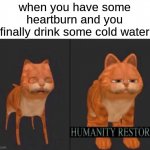 Faccss | when you have some heartburn and you finally drink some cold water | image tagged in humanity restored,relatable,memes | made w/ Imgflip meme maker