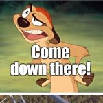 Timon | image tagged in timon | made w/ Imgflip meme maker