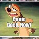 Timon | image tagged in timon | made w/ Imgflip meme maker