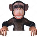 Smiling Monkey