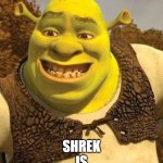 le simp | SIMP MEANS SHREK
IS
MANY
PEOPLE-EATER-INATOR | image tagged in smiling shrek | made w/ Imgflip meme maker