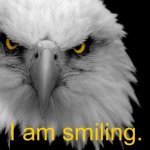 Smiling Eagle