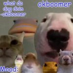 Okboomer template v4 (credit to yeetrex)