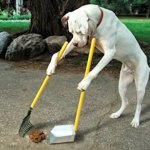 Dog with pooper scooper