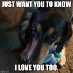 Love you too | JUST WANT YOU TO KNOW; I LOVE YOU TOO. | image tagged in dog love | made w/ Imgflip meme maker
