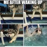 Dog falling in water | ME AFTER WAKING UP | image tagged in dog falling in water | made w/ Imgflip meme maker