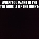 Lol | WHEN YOU WAKE IN THE THE MIDDLE OF THE NIGHT: | image tagged in lol | made w/ Imgflip meme maker
