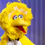 Big Bird Ted Cruz