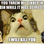 relatible anyone :P | YOU THREW MY DINNER IN DA BIN WHILE IT WAS DEFROSTING | image tagged in cat doge | made w/ Imgflip meme maker