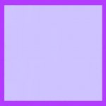 MY Purple Blank