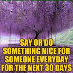 Lavender | 30 DAY CHALLENGE; SAY OR DO SOMETHING NICE FOR SOMEONE EVERYDAY FOR THE NEXT 30 DAYS | image tagged in lavender | made w/ Imgflip meme maker
