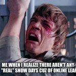 RIP to fun childhood days of playing in the snow.... | ME WHEN I REALIZE THERE AREN'T ANY MORE "REAL" SNOW DAYS CUZ OF ONLINE LEARNING | image tagged in luke nooooo,so true memes,memes,school sucks | made w/ Imgflip meme maker
