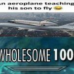 Wholesome 100 | image tagged in wholesome 100,memes,airplane | made w/ Imgflip meme maker