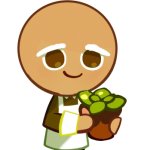 bald herb cookie meme