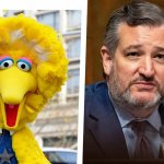 Ted Cruz Big Bird Politics USA meme