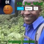 Ok_For_What Temp | wussup romios | image tagged in ok_for_what temp | made w/ Imgflip meme maker