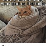 Yes, I do this. | how it feels to bring your ipad on the toilet | image tagged in cozy cat | made w/ Imgflip meme maker