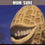 Nut get pleasure | MOM: SURE; ME: CAN WE GET PIZZA? | image tagged in this pleases the nut | made w/ Imgflip meme maker