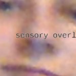 sensory overload meme