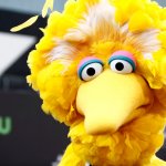 Big bird