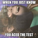 Johnny is more than chill. | WHEN YOU JUST KNOW; YOU ACED THE TEST | image tagged in johnny chill | made w/ Imgflip meme maker