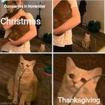 bruh | Companies in November; Christmas; Thanksgiving | image tagged in cat left out crying | made w/ Imgflip meme maker