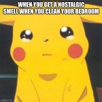 WoooW | WHEN YOU GET A NOSTALGIC SMELL WHEN YOU CLEAN YOUR BEDROOM | image tagged in i'm sorry sad pikachu | made w/ Imgflip meme maker