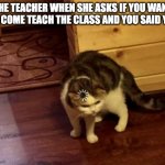 They always ask this | THE TEACHER WHEN SHE ASKS IF YOU WANT TO COME TEACH THE CLASS AND YOU SAID YES | image tagged in cats,memes,funny,funny memes,school | made w/ Imgflip meme maker