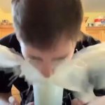 milk gone wrong