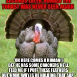 Turkeys..... not known for their intelligence | SECONDS LATER, RONALD THE TURKEY WAS NEVER SEEN AGAIN "OH HERE COMES A HUMAN! I BET HE HAS SOME CRACKERS HE'LL FEED ME IF I PUFF THESE FEATH | image tagged in memes,turkey,smart animals,we're all doomed | made w/ Imgflip meme maker