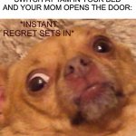 What have I done? | WHEN YOUR PLAYING THE SWITCH AT 1AM IN YOUR BED AND YOUR MOM OPENS THE DOOR: | image tagged in instant regret sets in,i have sinned,what have i done,dog,memes,mom | made w/ Imgflip meme maker
