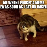 reeeeeeeeeeeeeeeeeeeeee | ME WHEN I FORGET A MEME IDEA AS SOON AS I GET ON IMGFLIP: | image tagged in loading cat hd,forgetting meme,cat,confused,forget | made w/ Imgflip meme maker