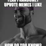 they are the real heroes of imgflip | YEAH I RANDOMLY UPVOTE MEMES I LIKE; HOW DO YOU KNOW? | image tagged in gigachad | made w/ Imgflip meme maker