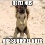 Dietz nuts! | DEITZ NUS; ARE SQUIRREL NUTS | image tagged in how about dietz nuts | made w/ Imgflip meme maker