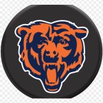 Bears Logo meme