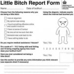 bitchass report form