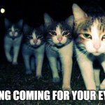 Interpret this right | GANG COMING FOR YOUR EYES | image tagged in memes,wrong neighboorhood cats,riddle | made w/ Imgflip meme maker