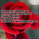 roses are red | The beauty of a budding rose.
But deep inside a fungus grows.
It might seem well,
But soon the smell
That once was sweet offends the nose. | image tagged in roses are red | made w/ Imgflip meme maker