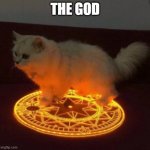 PRAISE THE LORD | THE GOD | image tagged in aaaaaaaaaaaaaa | made w/ Imgflip meme maker