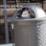 Did you schedule an appointment