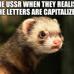 Frustrated Ferret | THE USSR WHEN THEY REALISE THE LETTERS ARE CAPITALIZED | image tagged in frustrated ferret | made w/ Imgflip meme maker